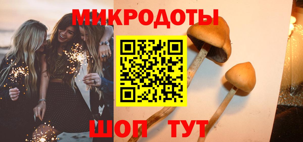 Звенигород  Галлюциногенные грибы GOLDEN TEACHER  Вход с VPN 